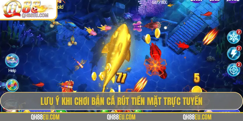 Lưu ý khi chơi bắn cá rút tiền mặt trực tuyến